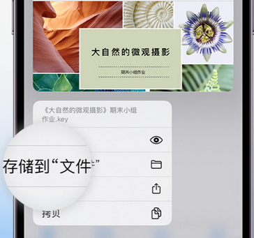 加乐镇apple维修中心分享iPhone文件应用中存储和找到下载文件