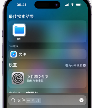 加乐镇apple维修中心分享iPhone文件应用中存储和找到下载文件