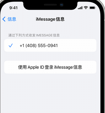 加乐镇apple维修iPhone上无法正常发送iMessage信息