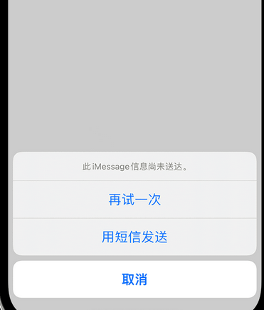 加乐镇apple维修iPhone上无法正常发送iMessage信息