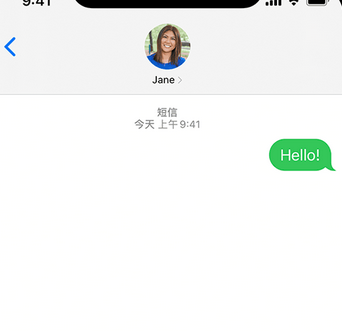 加乐镇apple维修iPhone上无法正常发送iMessage信息