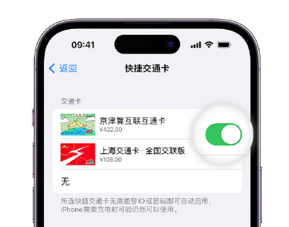 加乐镇apple维修点分享iPhone上更换Apple Pay快捷交通卡手绘卡面 