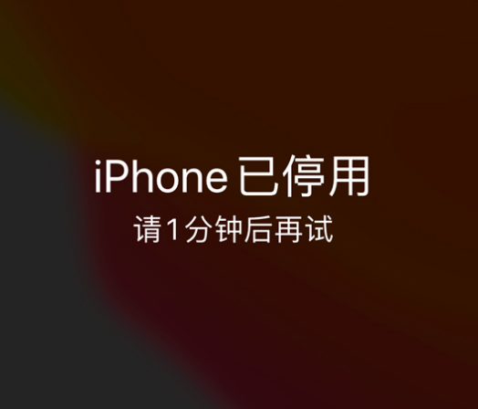 加乐镇苹果手机维修分享:iPhone 显示“不可用”或“已停用”怎么办？还能保留数据吗？ 