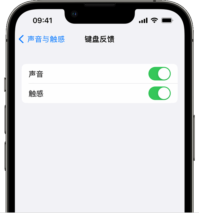 加乐镇苹果14维修店分享如何在 iPhone 14 机型中使用触感键盘 