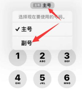 加乐镇苹果14维修店分享iPhone 14 Pro Max使用副卡打电话的方法 