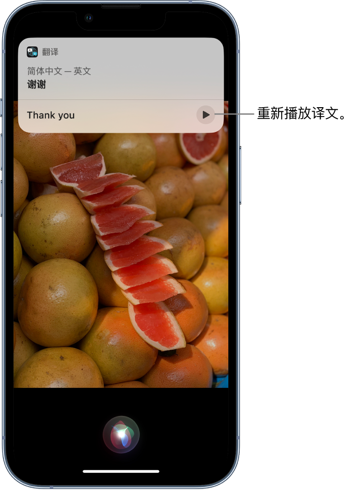 加乐镇苹果14维修分享 iPhone 14 机型中使用 Siri：了解 Siri 能帮你做什么 