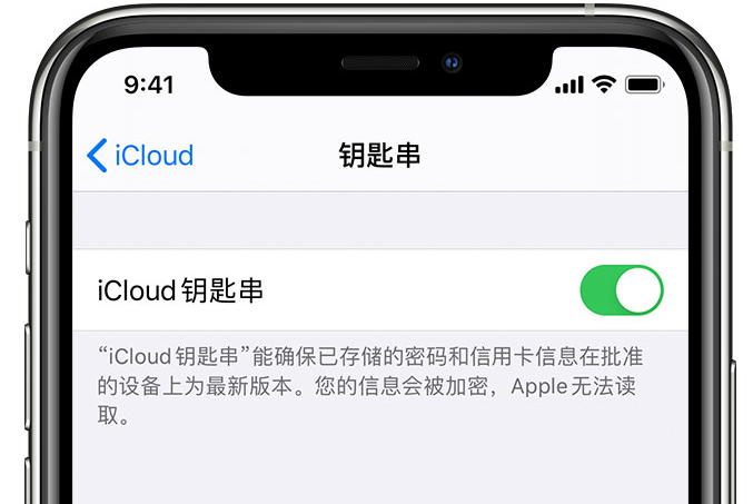 加乐镇苹果手机维修分享在 iPhone 上开启 iCloud 钥匙串之后会储存哪些信息 