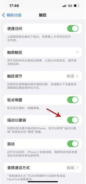 加乐镇苹果手机维修分享iPhone手机如何设置摇一摇删除文字 